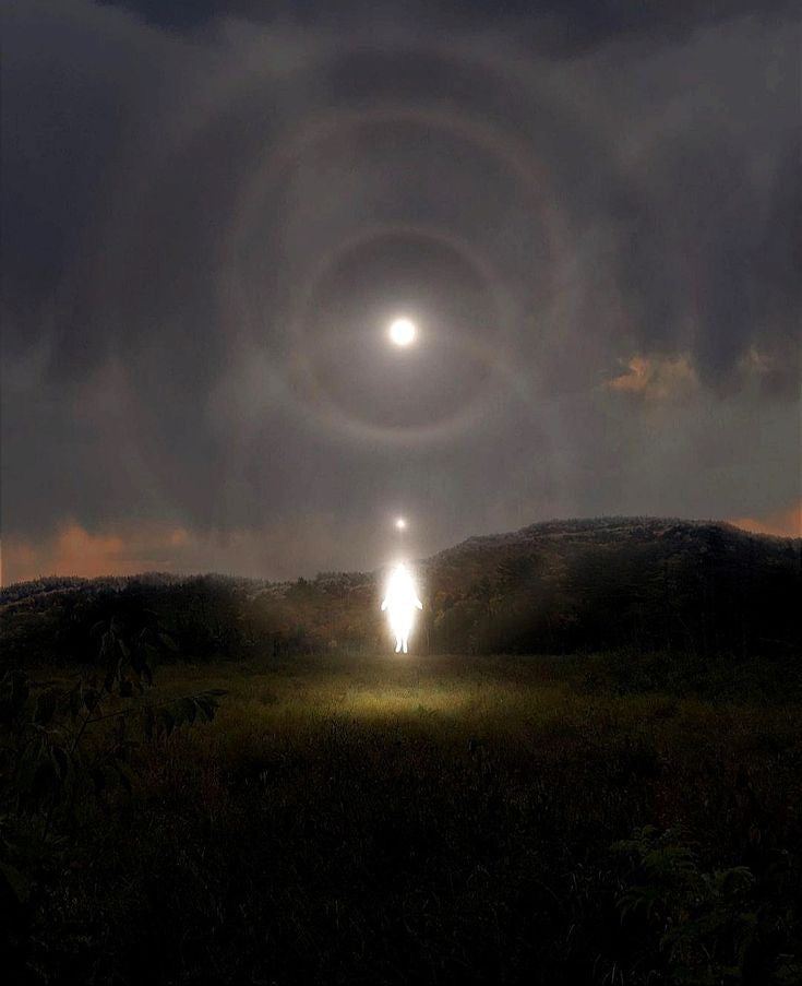 WHY RESULTS ARE NONE OF YOUR BUSINESS