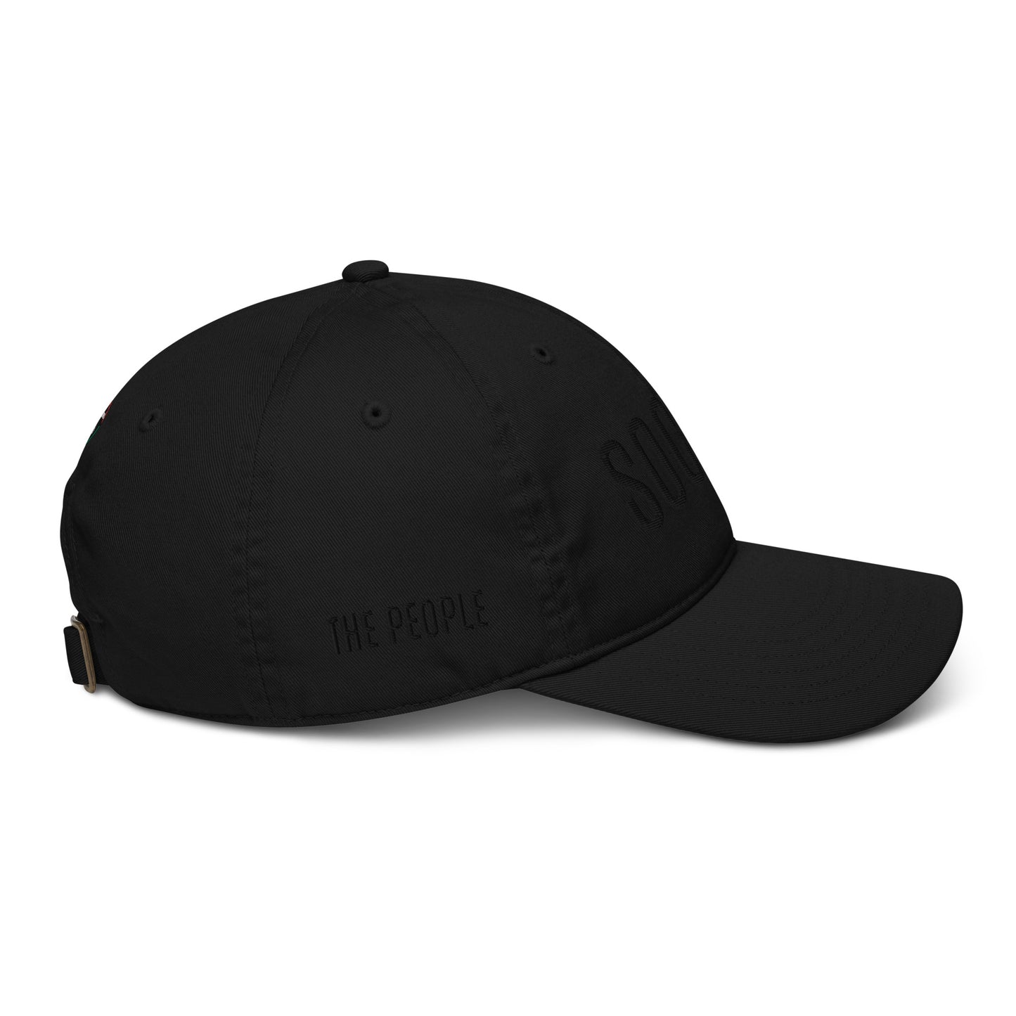 THE ROUNDABOUT ORGANIC DAD HAT