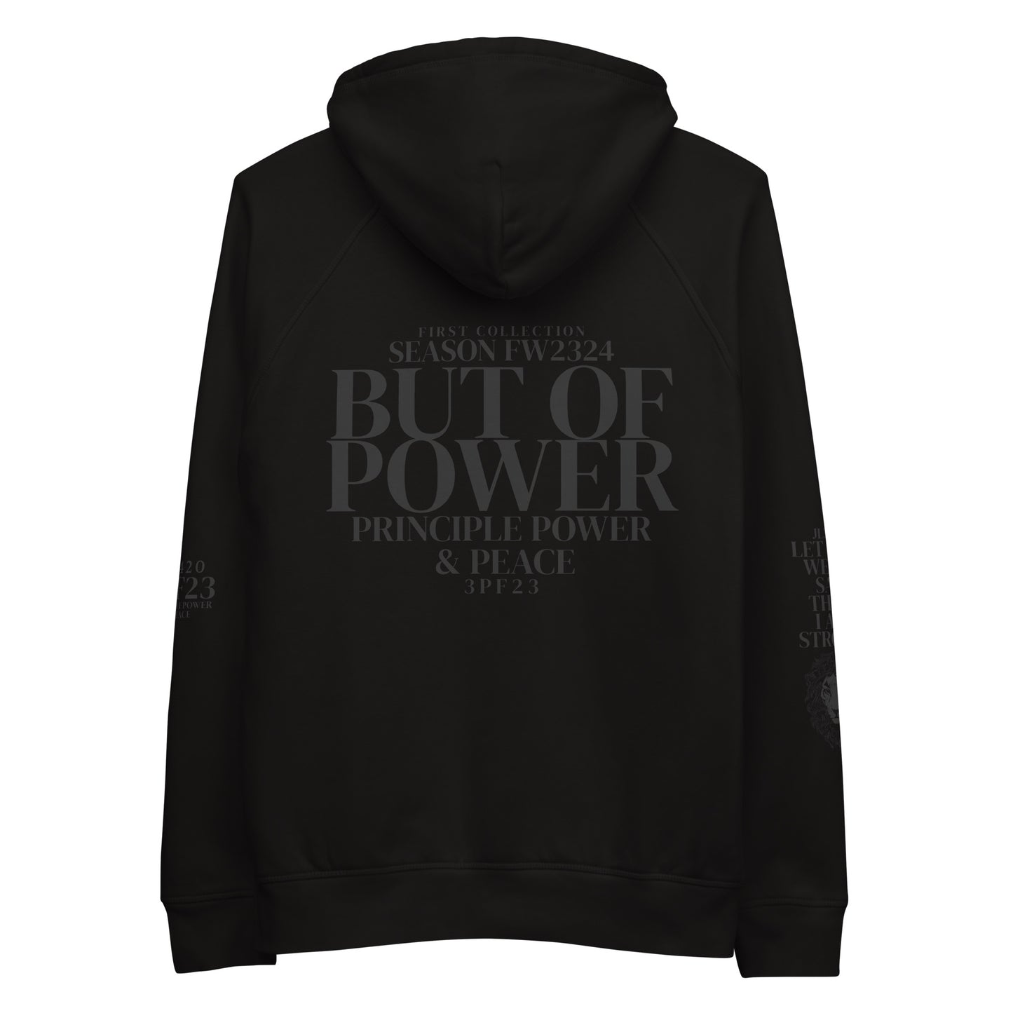 A KINGDOM OF POWER UNISEX PULLOVER HOODIE